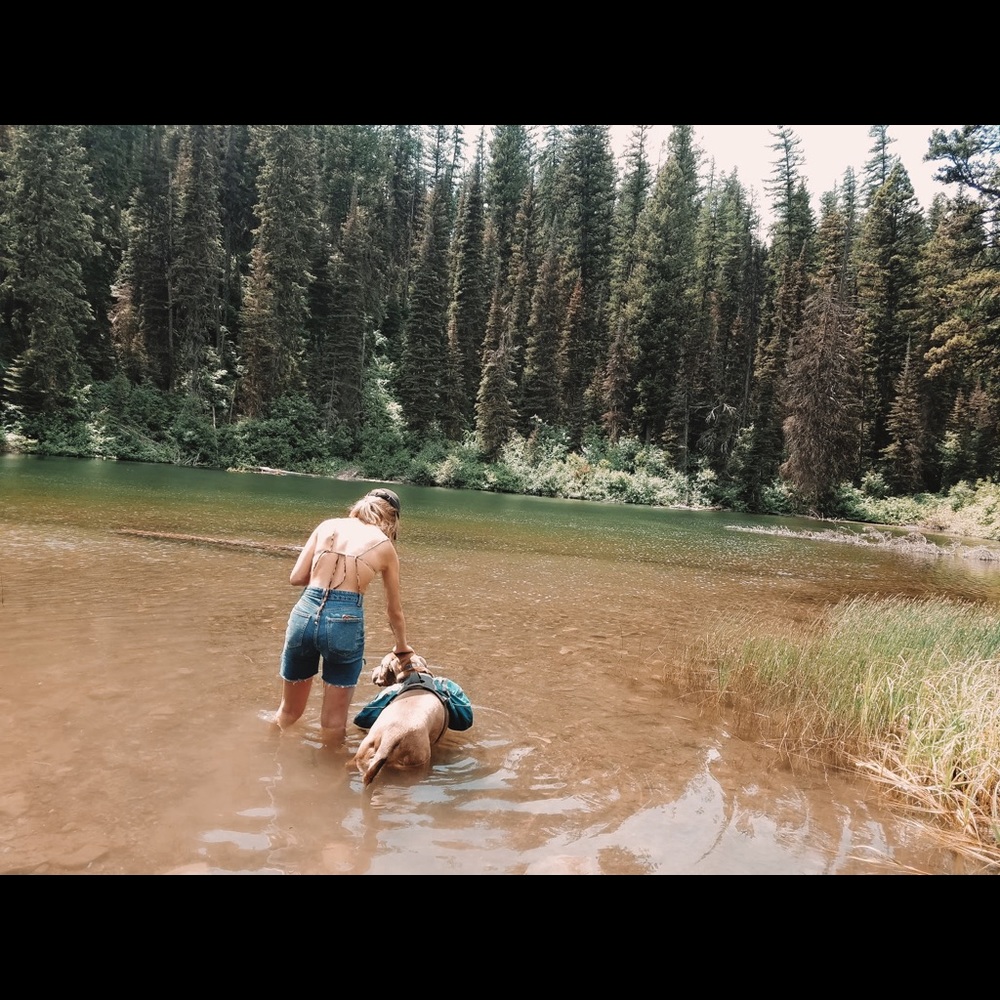 UPDATE - Picture 4 of 4